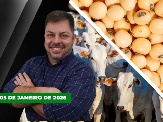 CAPA DO YOUTUBE FECHA ALEKS