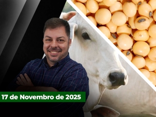 CAPA DO YOUTUBE FECHA ALEKS