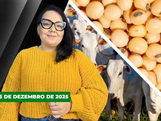 CAPA DO YOUTUBE FECHA ALEKS