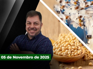 CAPA DO YOUTUBE FECHA ALEKS