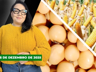 CAPA DO YOUTUBE FECHA ALEKS