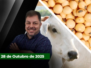 CAPA DO YOUTUBE FECHA ALEKS
