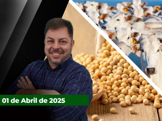 CAPA-DO-YOUTUBE-FECHA-ALEKS