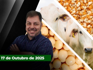 CAPA DO YOUTUBE FECHA ALEKS