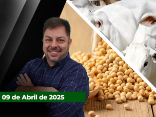 CAPA-DO-YOUTUBE-FECHA-ALEKS