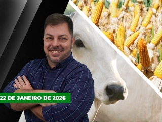 CAPA DO YOUTUBE FECHA ALEKS