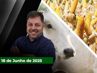 CAPA DO YOUTUBE FECHA ALEKS