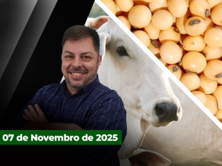 CAPA DO YOUTUBE FECHA ALEKS