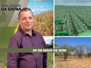 CAPA DO YOUTUBE_REALIDADES-ÍNTEGRA2