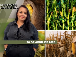 CAPA DO YOUTUBE_REALIDADES-ÍNTEGRA2