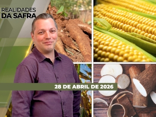 CAPA DO YOUTUBE_REALIDADES-ÍNTEGRA2