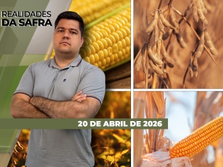 CAPA DO YOUTUBE_REALIDADES-ÍNTEGRA2