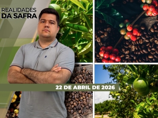 CAPA DO YOUTUBE_REALIDADES-ÍNTEGRA2
