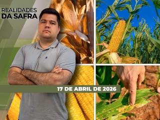 CAPA DO YOUTUBE_REALIDADES-ÍNTEGRA2