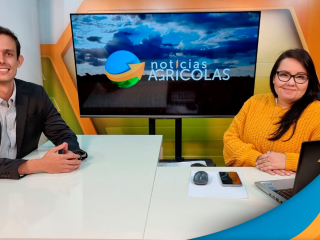carla e mateus