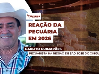 CARLITO