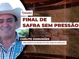 carlito