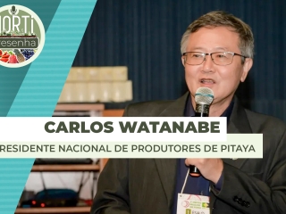 carlos-destaque