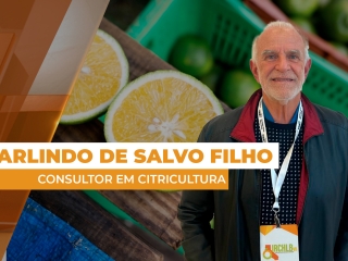Citrus sitre