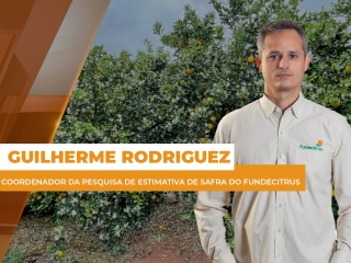 Citrus sitre