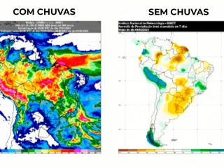 clima 29-01