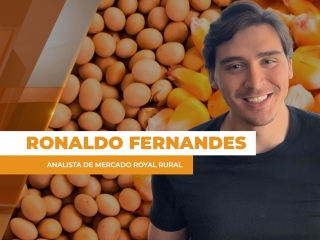 comercial site
