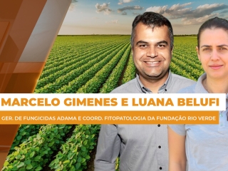 comercial site