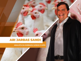 comercial site