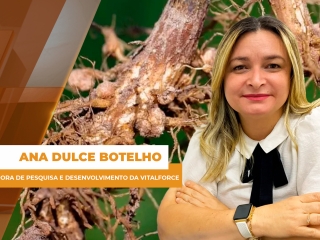 comercial site