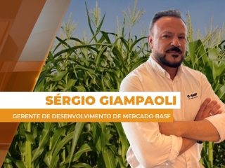 comercial site