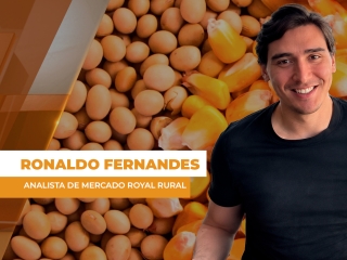 COMMODITIES SITE