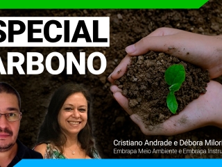 Cristiano-e-Debora