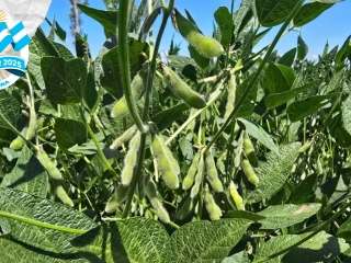 croptur