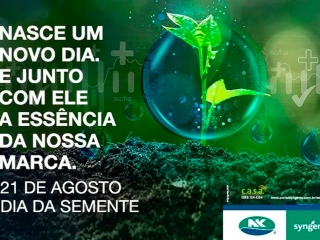 Dia da semente Syngenta