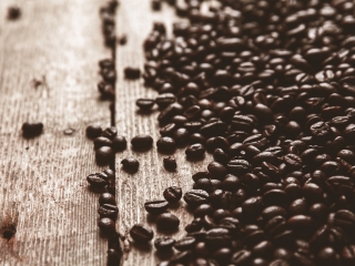 Cafe 16:9