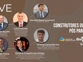 Construtores de solo capa