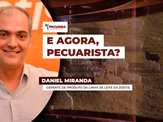 daniel miranda