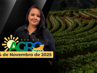dba integra dia 4 site