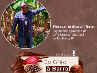 do-grao-insta