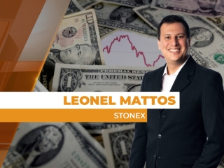 dolar site