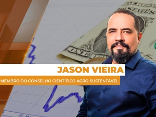 dolar site