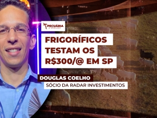 douglas