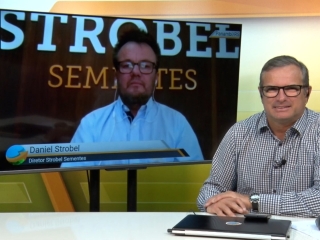 Frederico Olivi e Daniel Strobel