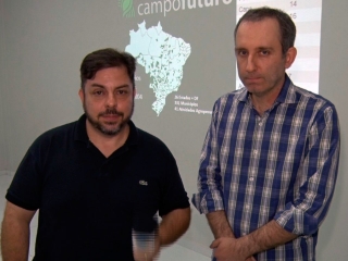 Renato Ribeiro - Pesquisador Cepea