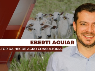 eberti-destaque