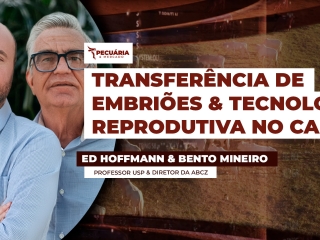 Ed Hoffmann
