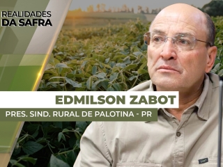 edmilson
