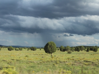 Clima