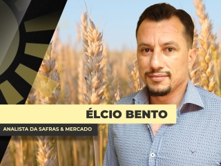 elcio