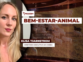 Elisa